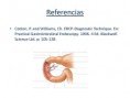 /album/ubicacion-aberrante-de-papila/asenda-papila-bulboduodenal-1-13-jpg/